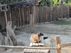 -泉州海丝野生动物世界