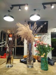 -净漪造型 PURE RIPPLE