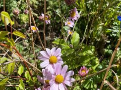 -白草畔自然风景区