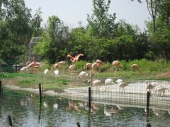 秦岭动物园-西安秦岭野生动物园
