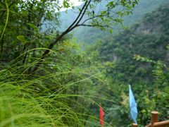 -郧西五龙河风景区