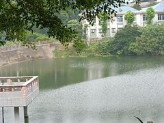 -火炉山森林公园