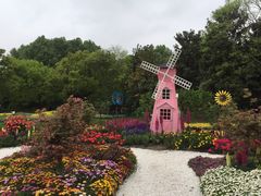 -上海共青森林公园