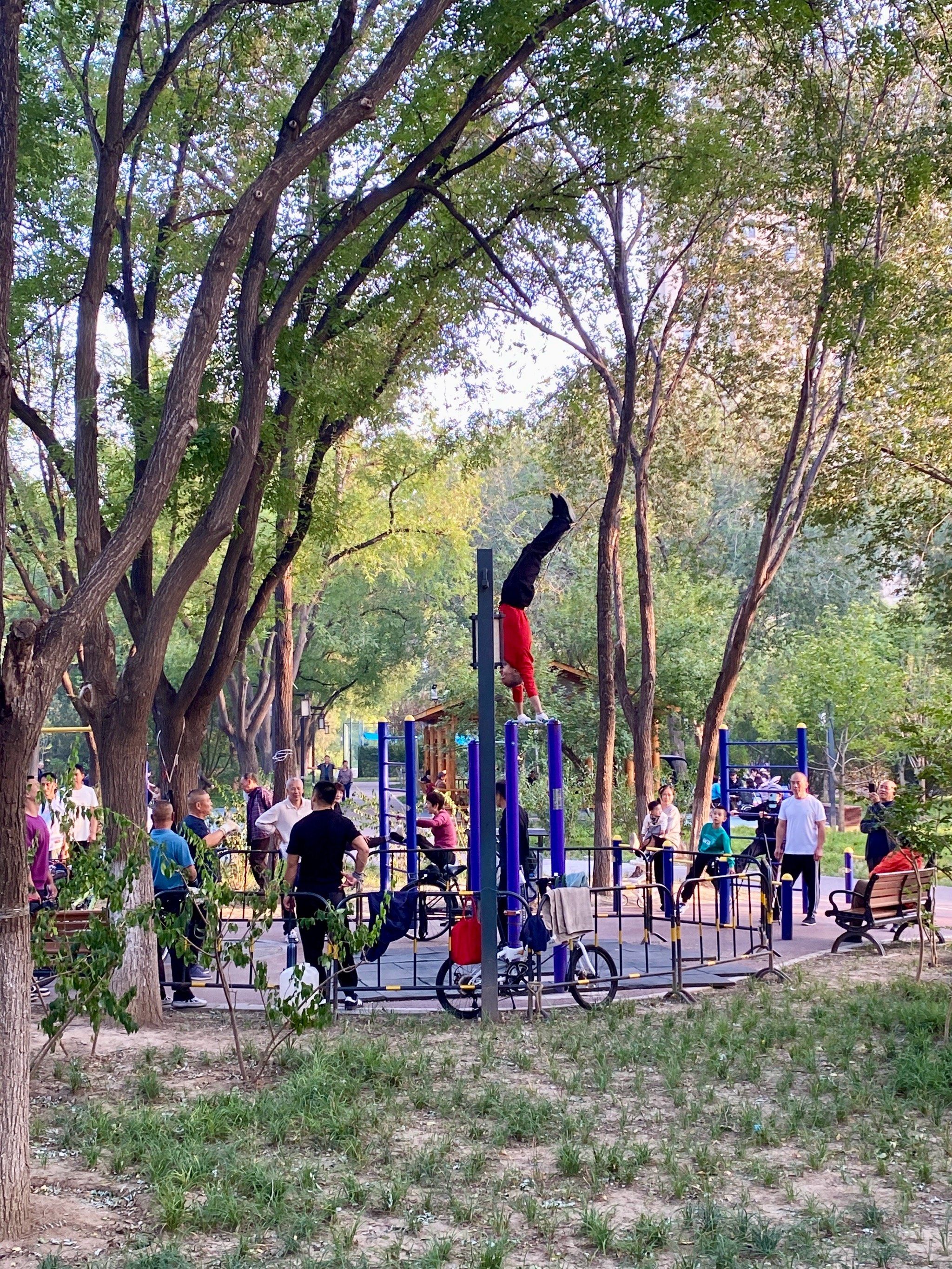 公园锻炼都这么高难度了❗