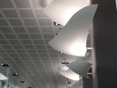 -米兰马尔彭萨国际机场