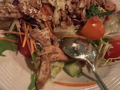 日式照烧鸡肉沙拉-萨尔瓦多Salvador's