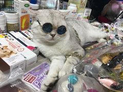 -吴山路夜市