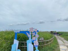 -宁波杭州湾国家湿地公园