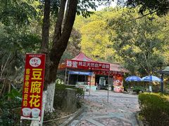 -大屏嶂森林公园