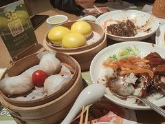 -茶港·点心·啫啫煲(群光广场店)