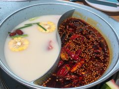 -青瓷火锅料理(西单大悦城店)