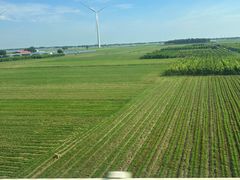 -仟吉KenGee(兴荣街店)