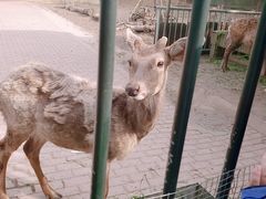 -无锡动物园·太湖欢乐园