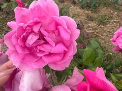 -山东大学(威海校区)