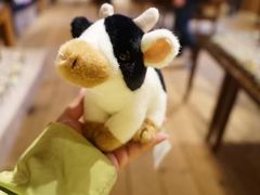 -小樽八音盒堂(手工制作体验馆店)