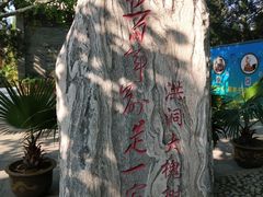 -大槐树寻根祭祖园
