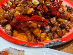 -柴窝堡22号辣子鸡·传承新疆菜