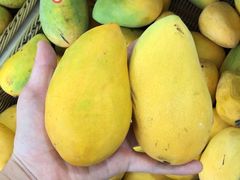 -老炳·七丛松甘草水果