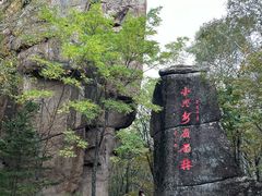 -汤旺河林海奇石景区