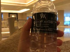 -上海外滩华尔道夫酒店