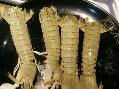 皮皮虾-无饿不坐海鲜自助烤肉火锅餐厅(塘下镇亿嘉国际广场店)