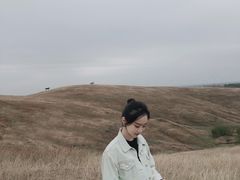 -恋山坝上草原