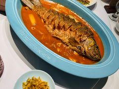 -阿五黄河大鲤鱼(英协路店)