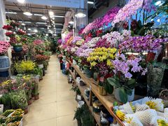 -双季花艺园艺市场(浦东店)