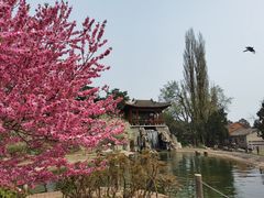 -国家植物园南园