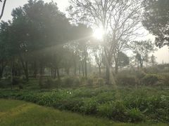 -贡湖湾湿地公园