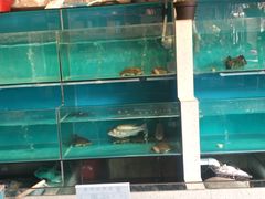 -美庐时尚餐厅(菱角湖店)
