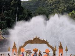 -西双版纳原始森林公园