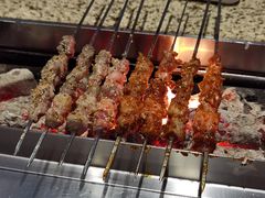 苏尼特羊肉串-丰茂烤串(公园店)