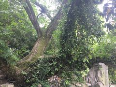 -汇龙潭