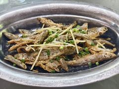 -铁炉农家菜馆