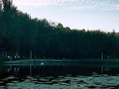-吉林大学(前卫南区)