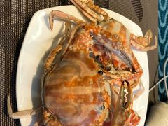 -瑞德姆美人鱼海底演艺主题餐厅(亚龙湾店)