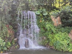 -广州市帽峰山景区