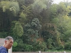 -四明山国家森林公园
