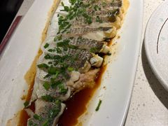 -船歌·鱼水饺青岛菜(金狮广场店)
