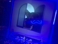 -乐潮汇时尚量贩式KTV(嘉业国际城购物中心店)