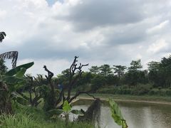 -鹤之洲湿地公园