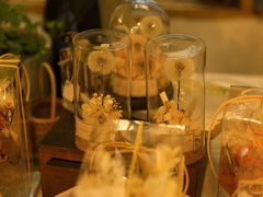 -知物癖(牛王庙店)