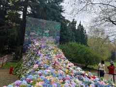 -上海共青森林公园