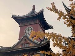 -四川大学(华西校区)