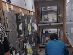-派联宠物医院·24h·CT·异宠