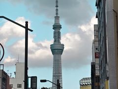 -秋叶原电器街