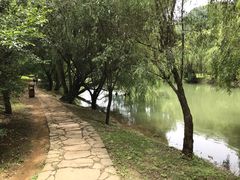 -贵阳市花溪国家城市湿地公园