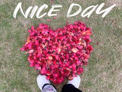 -文华公园(禅城区)