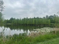 -白鹭湾湿地公园